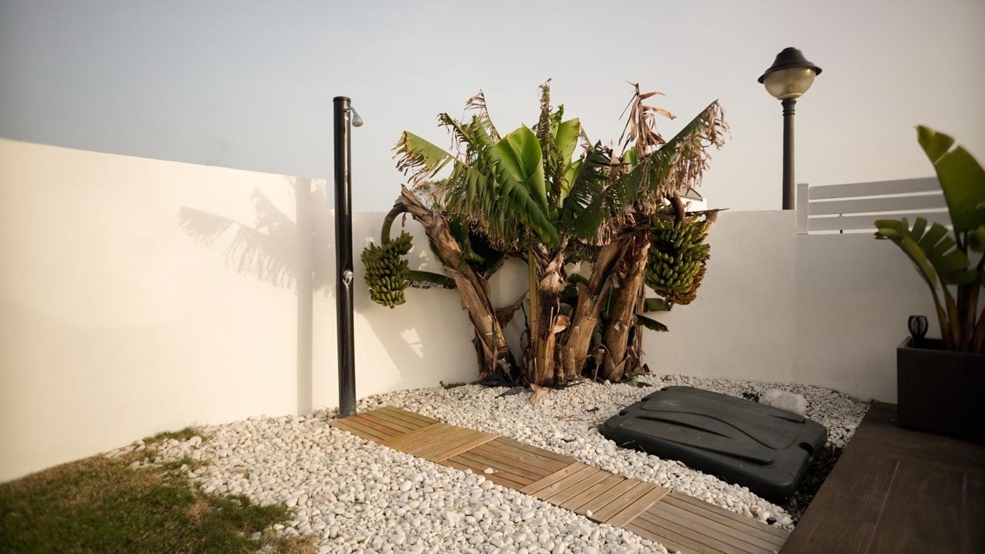 Villa Anyway Conil Un Lujo Frente Al Mar Conil De La Frontera Eksteriør billede